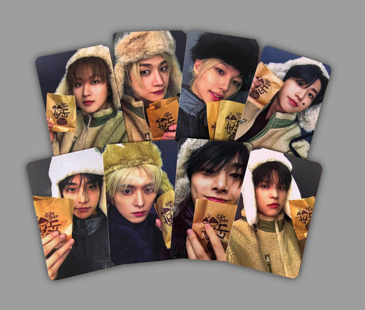 Stray Kids -  Fans Shop Video Call POB [photocards]