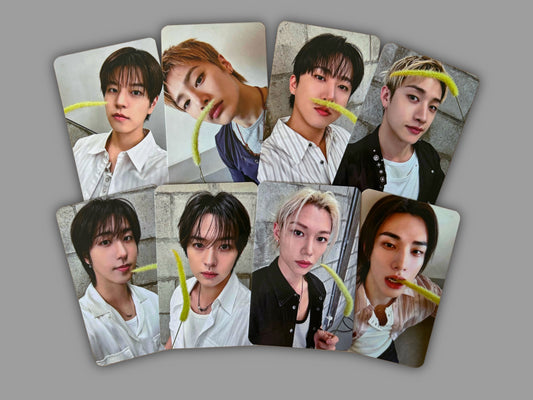 Stray Kids - World Tour „RUN IT SEOUL” [photocards]