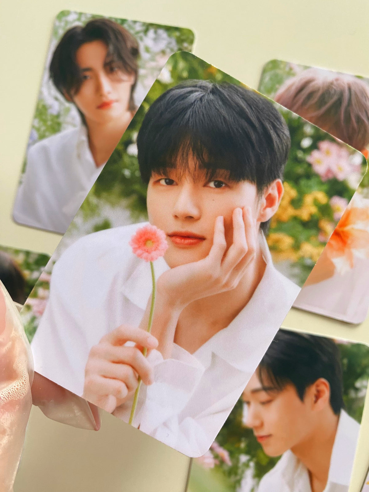 ATEEZ X NACIFIC [karty kolekcjonerskie]